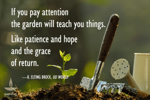 11752553_10153492231903749_8084859435378429582_n