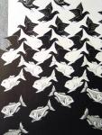 Black and white image of fish and birds blending into each other